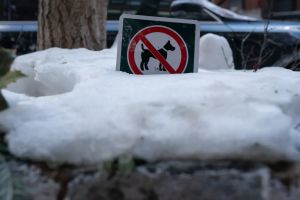 Readers sound off on post-storm misbehavior, Con Ed equipment and a radio tirade