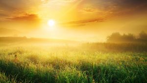 L'inverno è davvero finito? La risposta degli esperti e cosa succederà dal 10 marzo