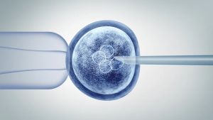 After IVF’s horror year, the sector must be held to the highest standard