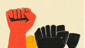 Elogio del activismo ciudadano