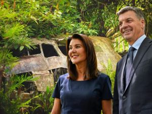 Flying blind: Coalition hurtling toward disaster in Farrer