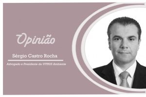 “8 de Março: Igualdade,...”