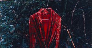 Zoe Strimpel’s orgy of contradictions