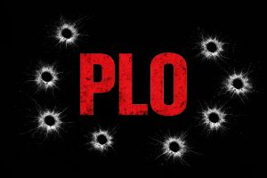 The Forgotten Evidence against the PLO