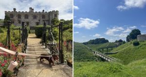 7 dog-friendly heritage sites in Norfolk to visit this spring