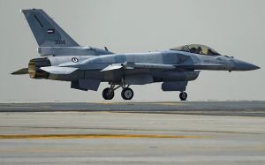 ‘Fake news’: Emirati official rejects Israeli reports UAE struck Iran