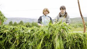 Når regelverket hindrer likestilling i landbruket
