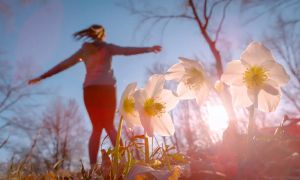 Polarni vrtinec se je razpolovil, prihaja sprememba vremena