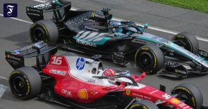 Gefeiert und verhasst