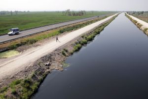 Descontaminación de la cuenca LermaChapala-Santiago