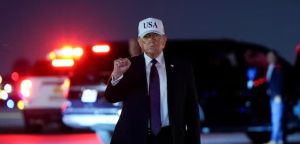 Por que Trump não é Napoleão