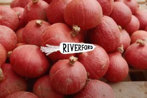 Riverford Organic takes root with new media agency