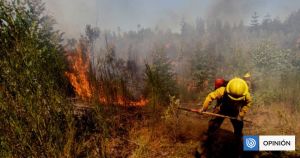 Respuesta a Diego Ibáñez: El derecho de propiedad en el proyecto de ley de incendios forestales
