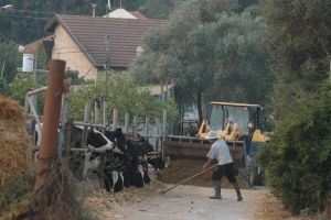 SPNI calls to freeze ‘land grab’ retroactively legalizing Galilee farm buildings