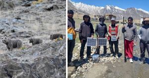 In Kargil, Local Youth Are Protecting Homes From Himalayan Brown Bears With Smart Solutions