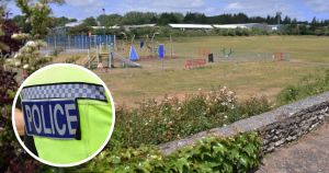 Two children attacked in city park