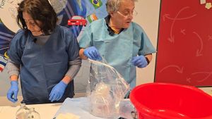 Il test: “Così abbiamo ricostruito il viaggio del cuore di Domenico”. Ecco cosa è successo