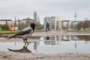 Heißer, trockener, überflutet? Was Berlins offizielle Klimadaten tatsächlich verraten