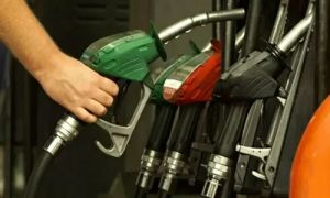 Senate panel to expose fuel price hike beneficiaries