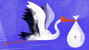 When the state pays for babies: Some lessons from Sikkim