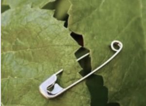 Ramazan: İçeriden açılan kapı