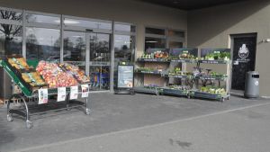 Verfolgungsjagd mit dem Fahrrad: 92-Jährige wehrt sich gegen Trickdieb. Mit Erfolg