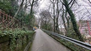 Panetti di hashish nascosti sotto le foglie nel Bosco del Farneto a Trieste: un arresto