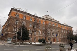 Допринос протектората реинтеграцији Босне