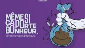 Marre des crottes de chiens!