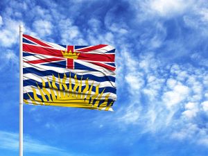 B.C. court rules employer not entitled to dictate terms of share repurchases under stock option plan