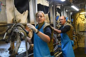 Government pulls controversial dairy reform from upcoming budget
