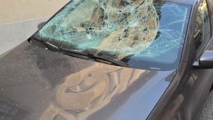 Vandalismi in centro Riconosciuti nei video due dei responsabili