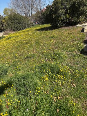 The Storm Called “Proportionality”