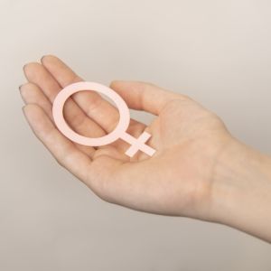 Uma mulher sozinha pode ir longe. Juntas, transformamos o mundo