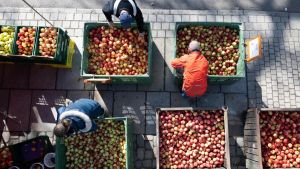 Inflation sinkt auf 1,9 Prozent – droht neuer Preisschock?