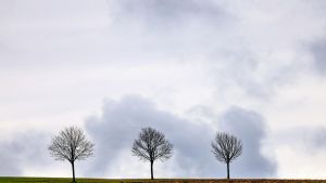 Wo im Südwesten ein Regenschirm eingepackt werden sollte
