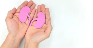 Simples e corriqueiro, exame de creatinina pode resguardar saúde dos rins