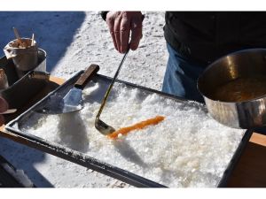 A Walk in the Woods: Getting ready for maple syrup season