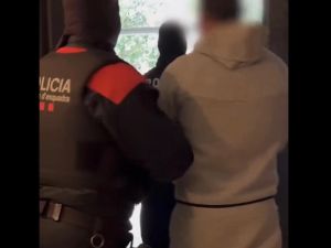 Cocaina dalla Spagna all'Italia tra cassette di frutta e gabbie di polli: 10 arresti, sequestrati soldi in contanti e droga