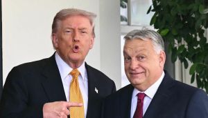 Rambøl argumenterer mot en stråmann