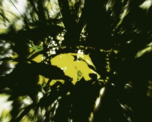 Miezyslaw Weinberg: Life After Death