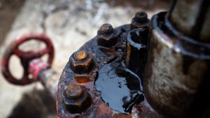 Они или есть, или их, извините, нет