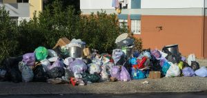 Politökonomen des Tages: Ukrainische Müllmänner