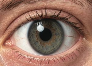 Glaucoma: Silent Thief of Sight