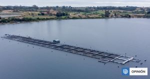 La equidad como fuerza de transformación del sur