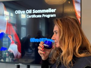 Zeytinyağı Masasında Türkiye Yok