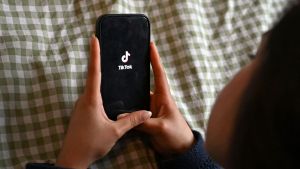 Expertin mahnt Politik bei Social-Media-Debatte zu Geduld