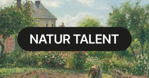 Nur die Harten kommen in den Garten