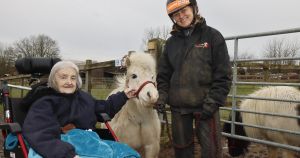 Birthday girl's wish comes true with dawn trip to see horses