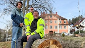Nach Baumfällungen in Zizenhausen: Warum diese Entscheidungen nicht leichtfertig gefällt werden